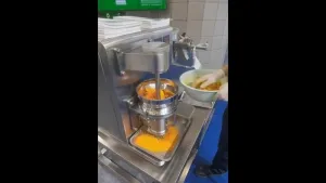 Extrusora peletizadora vertical (extrusora de cesta)